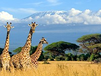 Kenya